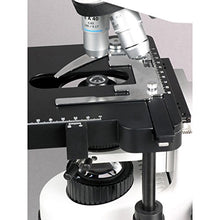 Load image into Gallery viewer, AmScope B690B Siedentopf Binocular Compound Microscope, 40X-2000X Magnification, WH10x and WH20x Super-Widefield Eyepieces, Infinity Objectives, Brightfield, Kohler Condenser, Double-Layer Mechanical
