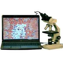 Load image into Gallery viewer, AmScope B100B-E Digital Compound Binocular Microscope, 40X-2000X Magnification, Brightfield, Tungsten Illumination, Abbe Condenser, Plain Stage, Includes 0.3MP Camera and Software
