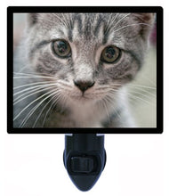 Load image into Gallery viewer, Cat Night Light, Mister Whiskers LED Night Light
