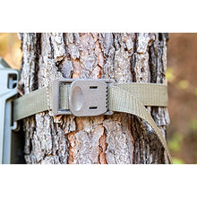 Load image into Gallery viewer, Moultrie Camera Mount Straps | 2-Pack | Fits Cameras | 8 ft. Long
