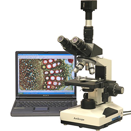 40X-2000X Lab Clinic Veterinary Trinocular Microscope with 10MP Camera