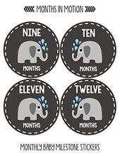 Load image into Gallery viewer, Months In Motion Gender Neutral Baby Month Stickers - Monthly Milestone Sticker for Boy or Girl - Infant Photo Prop for First Year - Shower Gift - Newborn Keepsakes - Unisex- Chalkboard- Elephants
