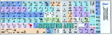 Load image into Gallery viewer, SERATO Scratch Live Galaxy Series Keyboard Labels 12X12 Size
