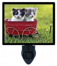 Load image into Gallery viewer, Cat Night Light, Tiny Delivery, Kittens LED Night Light

