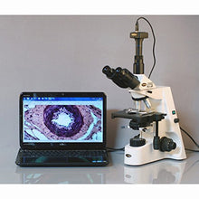 Load image into Gallery viewer, 40X-2500X Professional Super Widefield Kohler Trinocular Compound Microscope
