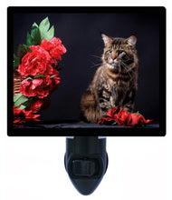 Load image into Gallery viewer, Cat Night Light, Brown Tabby Maine Coon Cat LED Night Light
