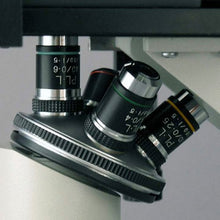 Load image into Gallery viewer, AmScope IN200B-9M Inverted Tissue Culture Microscope 40X-800X + 9M Camera
