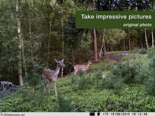 Load image into Gallery viewer, Wild-Vision Full HD 5.0 Trail and Game Camera, Premium Pack
