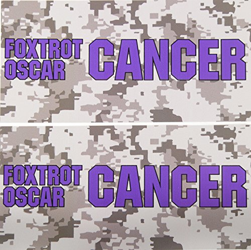 TWO (2) PANCREATIC Awareness Cancer Stickers Purple Toolbox Cancer Stickers Hardhat Computer Skateboard STICKERS Decal Foxtrot Oscar Cancer 3 inch x 6 inch Fuck Cancer Gifts Chemo Books Hats