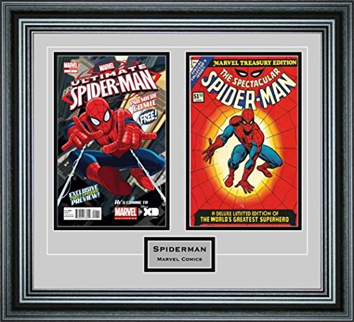 Perfect Cases DBCMCENG-PM Double Comic Book Frame with Engraving in Premium Moulding