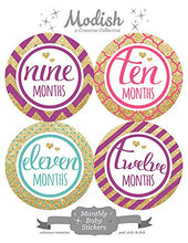 Load image into Gallery viewer, Modish Labels, Monthly Baby Stickers, Baby Milestone Stickers, Photo Prop, Baby Girl, Glitter, Silver, Pink, Purple, Mint, Teal, Baby Shower, Nursery, Baby Book Keepsake

