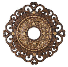 Load image into Gallery viewer, Zaragoza Golden Bronze 24&quot; Wide Ceiling Medallion
